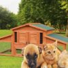 6 x Flea Killer Powder Indoor
