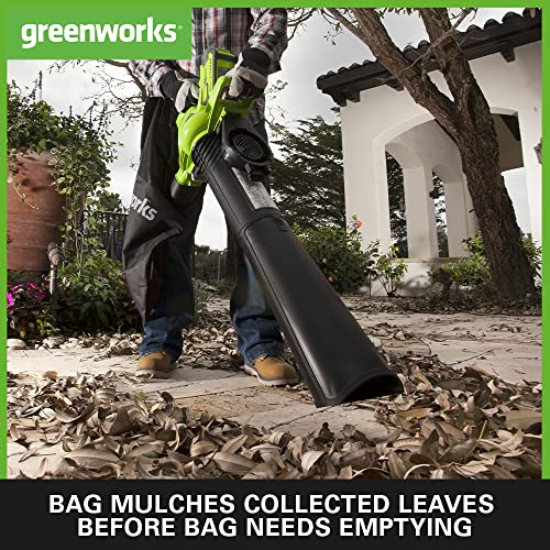 Greenworks GD40BVK2X Cordless Leaf Blow Vac with Brushless Motor, 280km/h, 9.63m³/min, 45L Mulching Bag , Two of 40V 2Ah Batteries & Charger, 3 Y